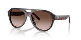 Dark Tortoise / Brown Gradient (196413)