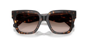 Dark Tortoise / Brown Gradient (196413)