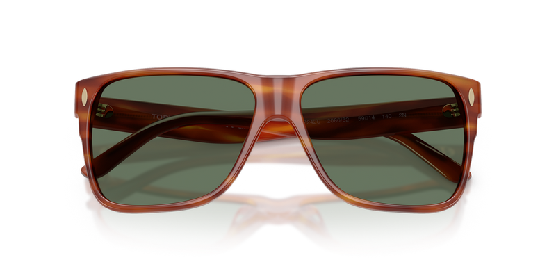Tory Burch TY7242U in Striated Amber Brown - Alternate View