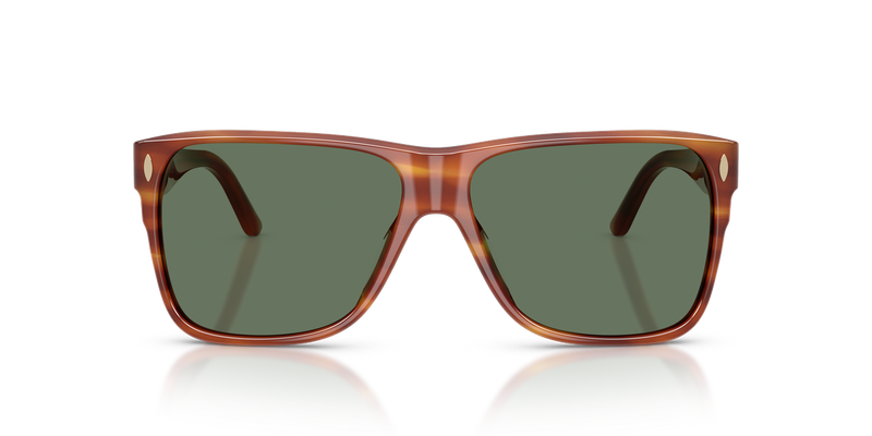 Tory Burch TY7242U in Striated Amber Brown - Alternate View