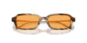 Brown Horn / Dark Yellow (209385)