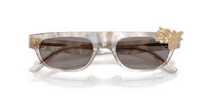 Spotted Transparent Grey / Grey (208487)