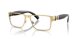 Gold / Demo Lens (1002)