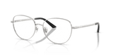 Silver (1001)