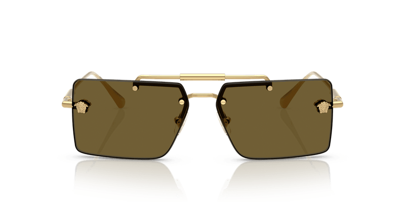 Versace VE2245 in Gold / Dark Brown (100273) - Back View