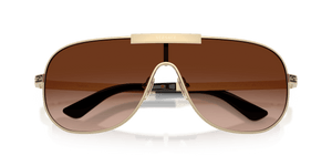 Pale Gold / Brown Gradient (125213)