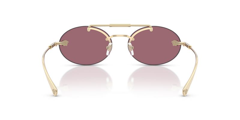Versace VE2295 in Pale Gold / Violet (12521A) - Alternate View