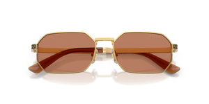 Gold / Brown (100273)