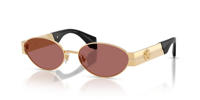 Versace VE2301 in Gold Versace / Dark Violet (152369) - Front View