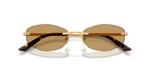 Gold Versace / Brown (152373)