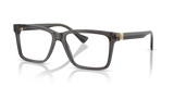 Transparent Grey / Demo Lens (5389)