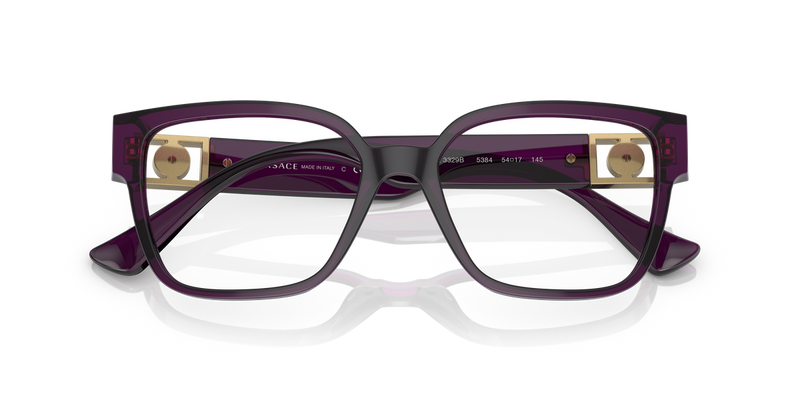 Versace VE3329B in Transparent Plum / Demo Lens (5384) - Alternate View