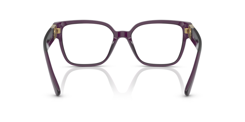 Versace VE3329B in Transparent Plum / Demo Lens (5384) - Alternate View