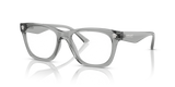 Grey Transparent / Demo Lens (5496)