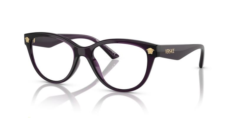 Versace VE3365U in Violet / Demo Lens (5263) - Alternate View