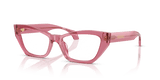 Transparent Pink (5516)