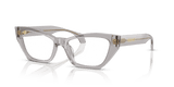 Light Transparent Grey (593)