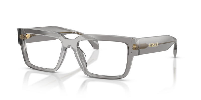 Versace VE3374U in Transparent Grey / Demo Lens (5510) - Alternate View