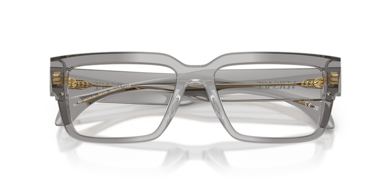 Versace VE3374U in Transparent Grey / Demo Lens (5510) - Alternate View