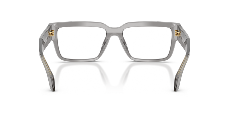 Versace VE3374U in Transparent Grey / Demo Lens (5510) - Alternate View