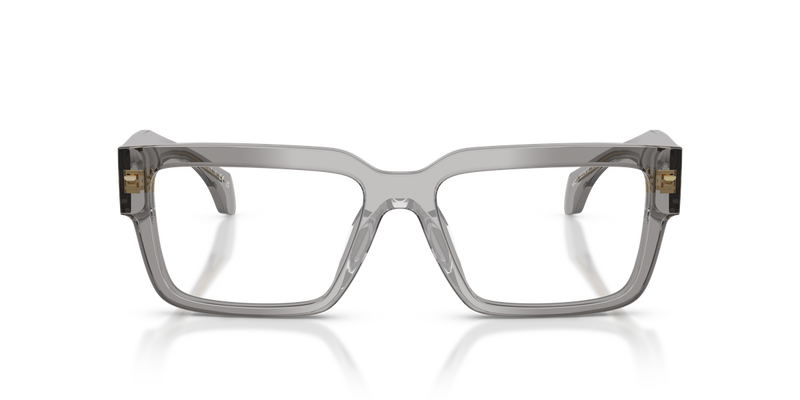 Versace VE3374U in Transparent Grey / Demo Lens (5510) - Alternate View
