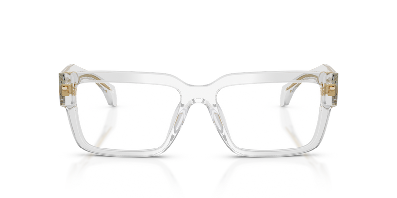 Versace VE3374U in Light Transparent Grey / Demo Lens (5519) - Alternate View