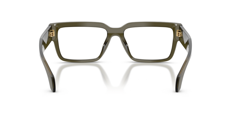 Versace VE3374U in Transparent Dark Green / Demo Lens (5542) - Temple Detail