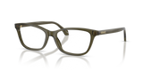 Transparent Dark Green / Demo Lens (5542)