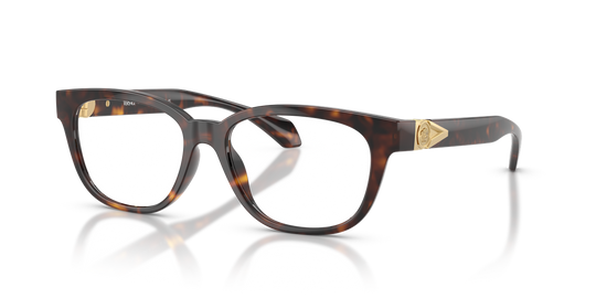 Versace VE3376U - Havana / Demo Lens (108)
