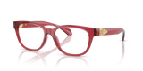 Transparent Red / Demo Lens (5523)