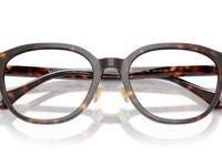 Dark Havana / Demo Lens (108)