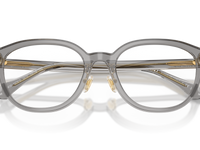 Transparent Grey / Demo Lens (5510)