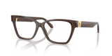 Brown Transparent Gradient Beige / Demo Lens (5332)