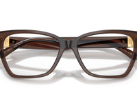 Brown Transparent Gradient Beige / Demo Lens (5332)