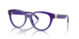 Transparent Dark Violet / Demo Lens (5545)