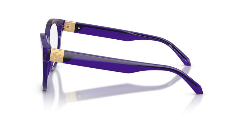 Versace VE3384 in Transparent Dark Violet / Demo Lens (5545) - Alternate View