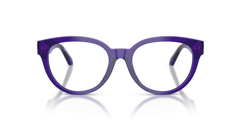 Versace VE3384 in Transparent Dark Violet / Demo Lens (5545) - Alternate View