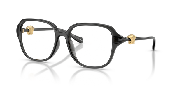 Versace VE3386D