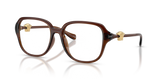Transparent Brown / Demo Lens (5534)