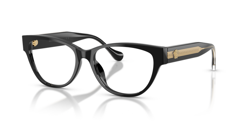 Versace VE3389U in Black / Demo Lens (GB1) - Alternate View