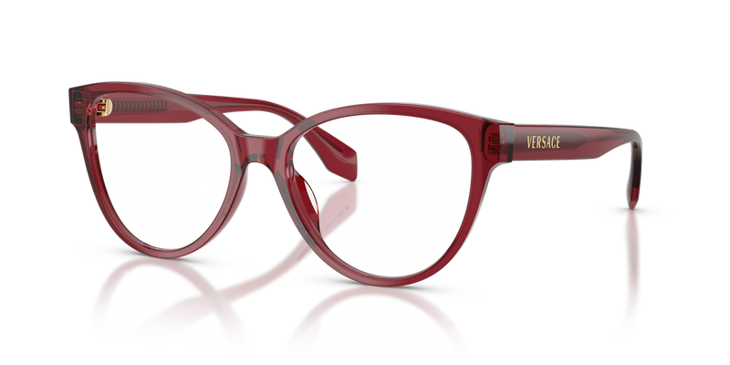 Versace VE3399U in Transparent Red - Alternate View