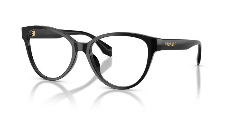 Versace VE3399U in Black - Alternate View