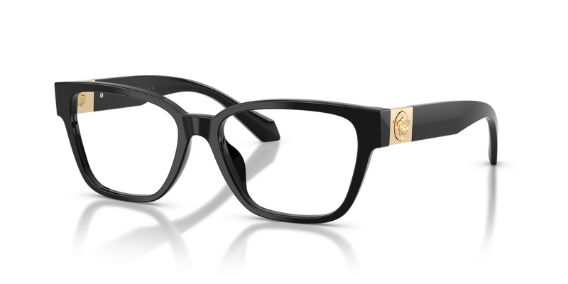 Versace VE3401U in Black - Alternate View