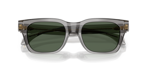 Transparent Grey / Dark Green (551071)