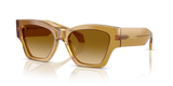 Transparent Honey / Yellow Gradient Light Brown (53472L)