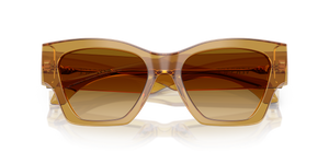 Transparent Honey / Yellow Gradient Light Brown (53472L)