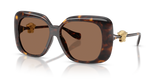 Havana / Dark Brown (108/73)