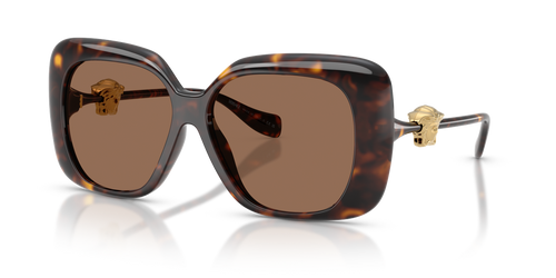 Havana / Dark Brown (108/73)