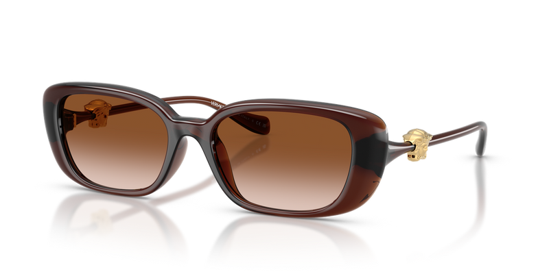 Versace VE4504D in Transparent Brown / Brown Gradient (533213) - Front View