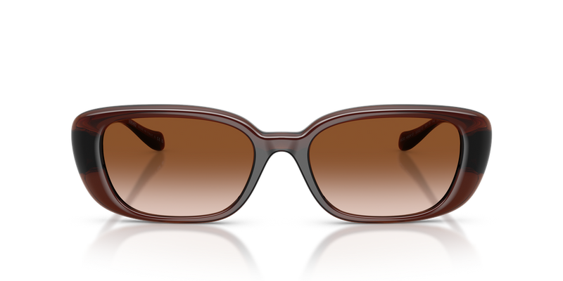 Versace VE4504D in Transparent Brown / Brown Gradient (533213) - Alternate View